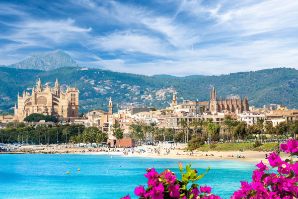Palma