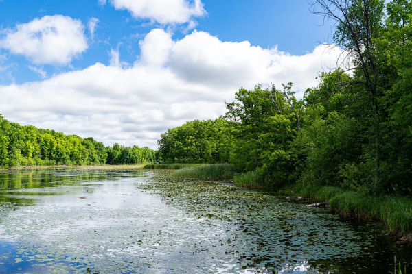 Halton Hills