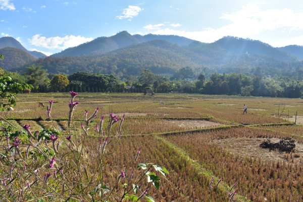 Mae Hong Son Province