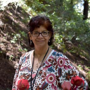 Christine Andes Cook