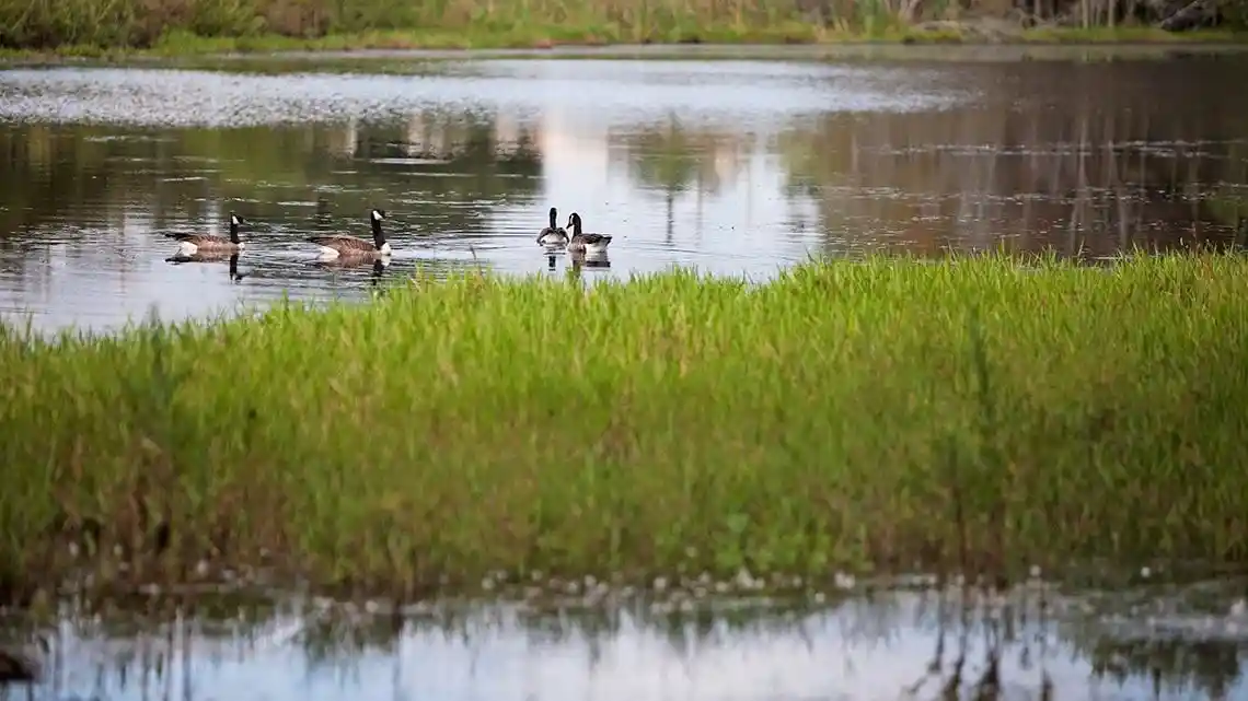Turning Point Care Center Insurance, Specializations & Photos