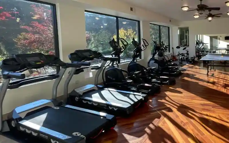 Pasadena Villa Smoky Mountain Lodge Insurance, Amenities & Photos