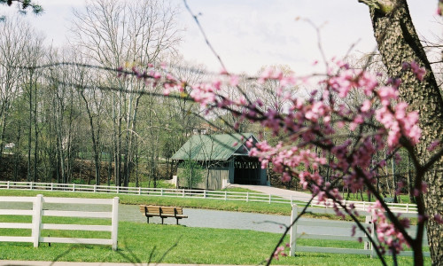 Wooded Glen Recovery Center facility photo 4
