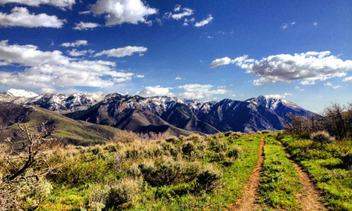 Clear Recovery of Cache Valley facility photo 2