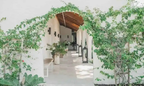 Flagler Health and Wellness facility photo 5