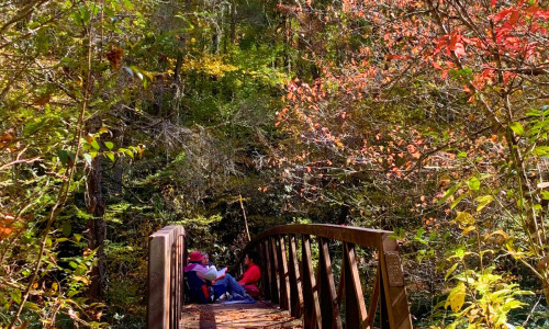 Blue Ridge Therapeutic Wilderness facility photo 4