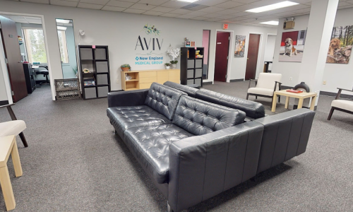 New England Medical Group Milford Aviv facility photo 5