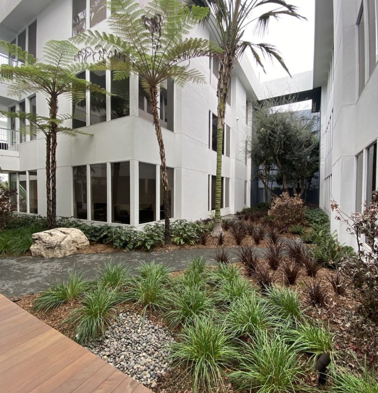 Clearview Outpatient - Los Angeles facility photo 3