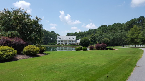 Residential Premium Image