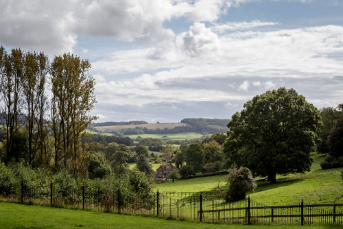 Residential Premium Image
