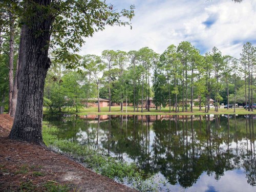 Residential Premium Main Image