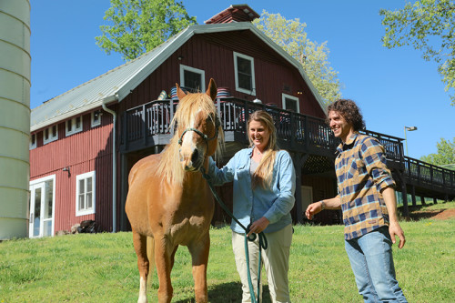 Residential Premium Image