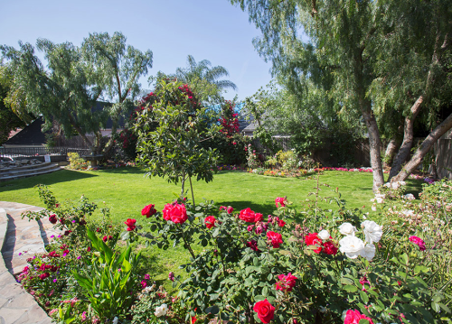 Residential Premium Image