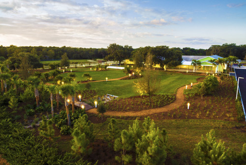 Residential Premium Image