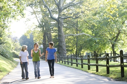 Residential Premium Image