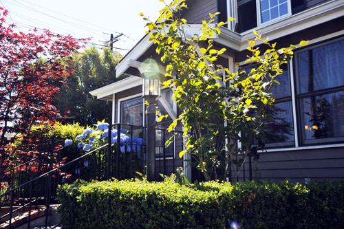 Residential Premium Image