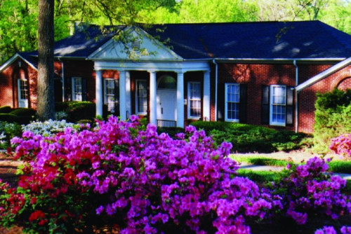Residential Premium Image