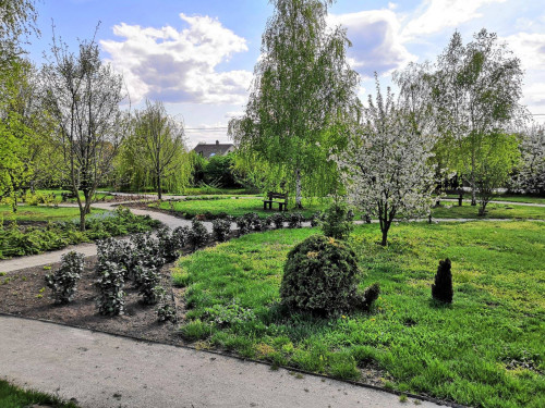Residential Premium Image