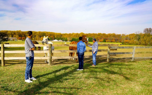Residential Premium Image