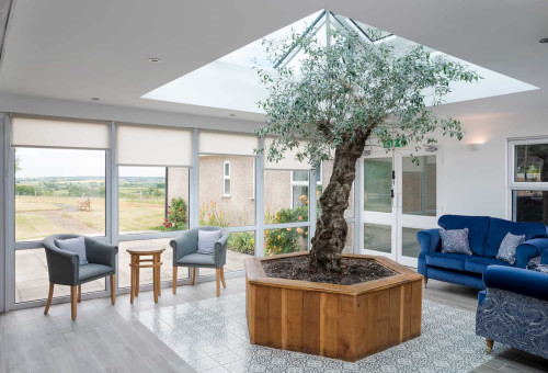 Residential Premium Image