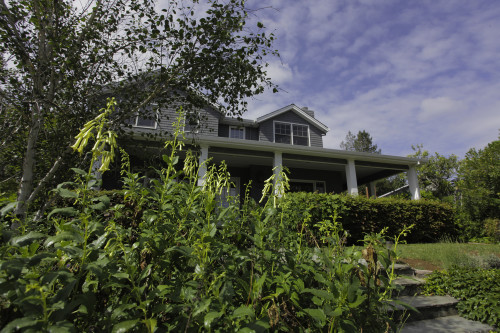 Residential Premium Main Image