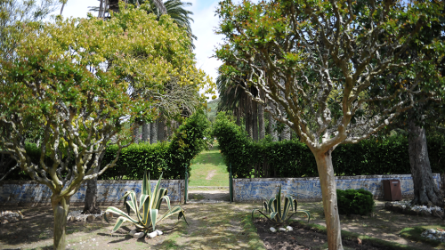Residential Premium Image