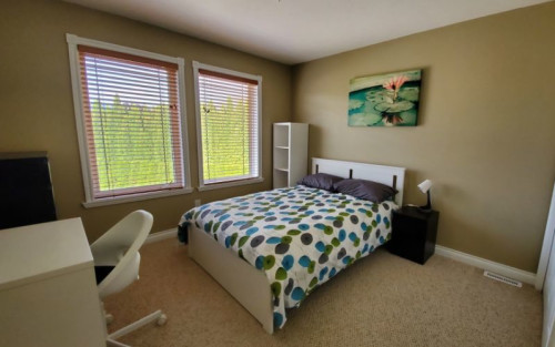 Residential Premium Image