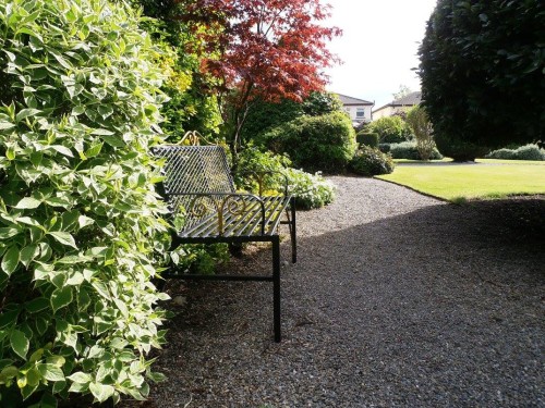 Residential Premium Image