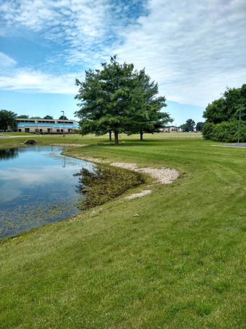 Residential Premium Image