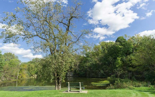 Residential Premium Image