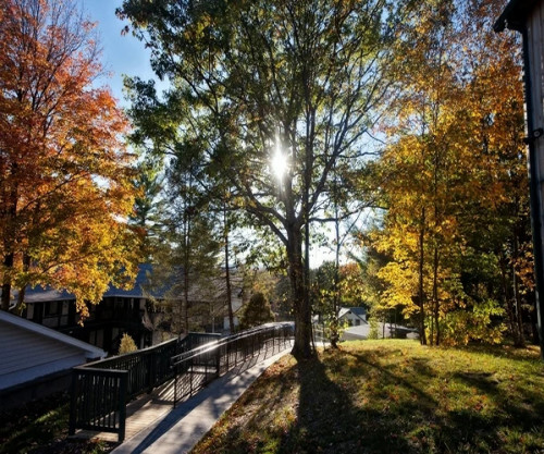 Residential Premium Image