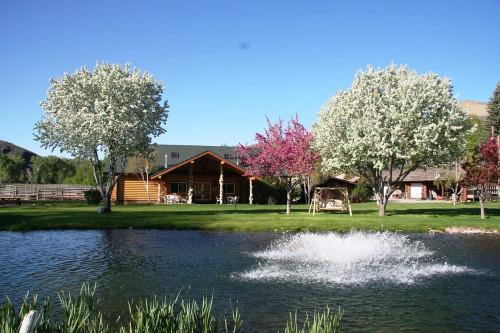 Residential Premium Image