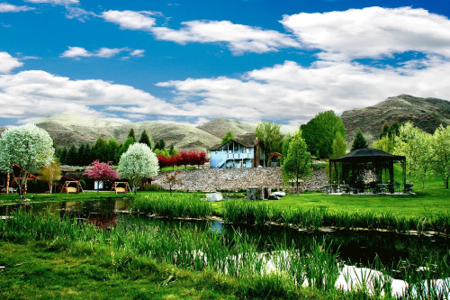 Residential Premium Image