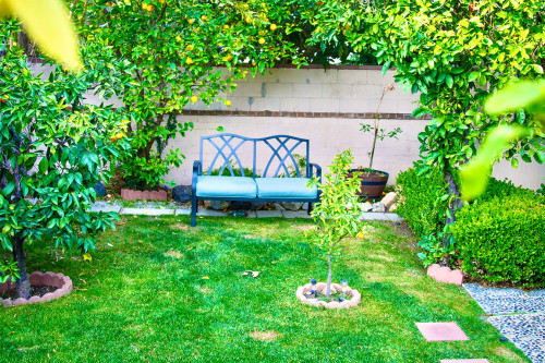 Residential Premium Image