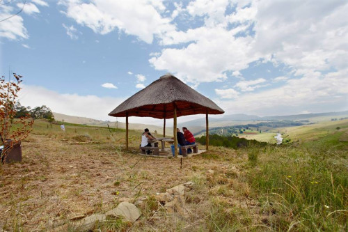 Residential Premium Image