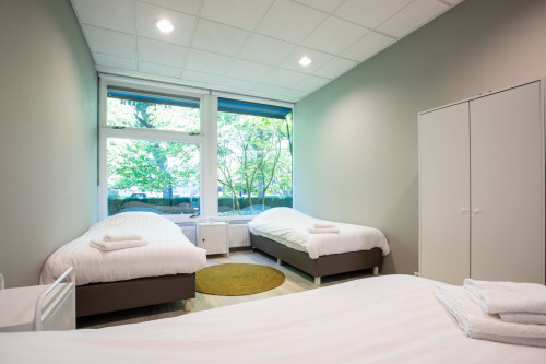 Residential Premium Image