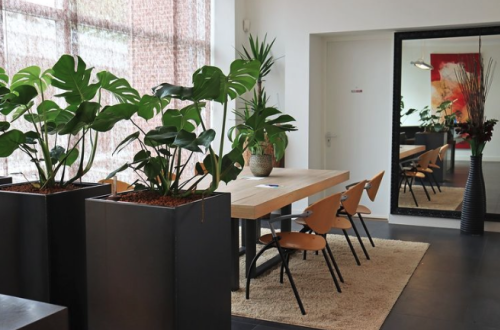 Residential Premium Image