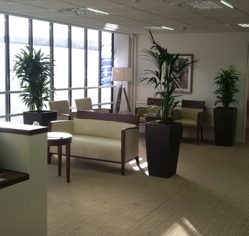 Residential Premium Image