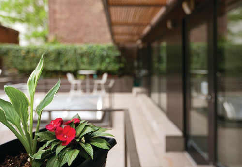 Residential Premium Image