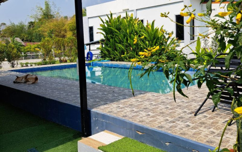 Residential Premium Image