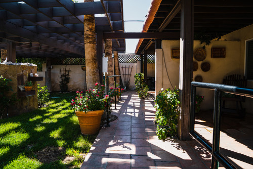Residential Premium Image