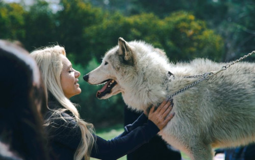 Residential Premium Main Image