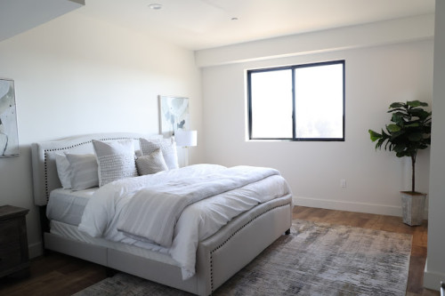 Residential Premium Image