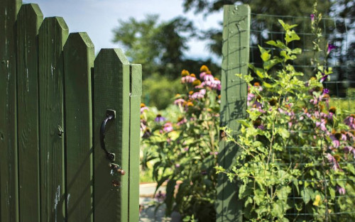 Residential Premium Image