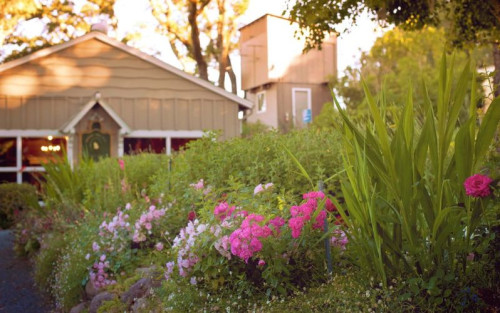 Residential Premium Image