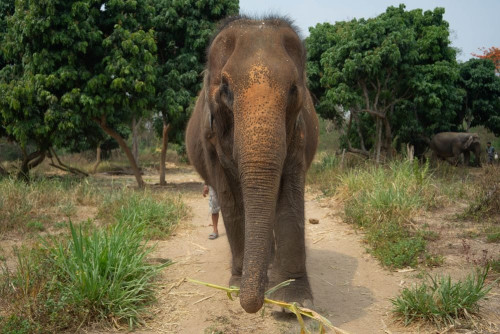 Residential Premium Image