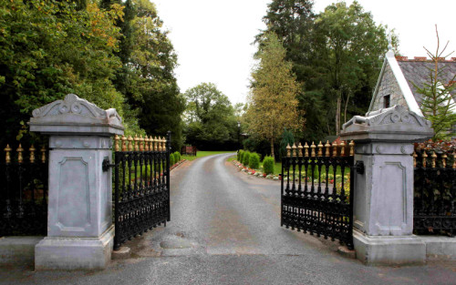 Residential Premium Main Image