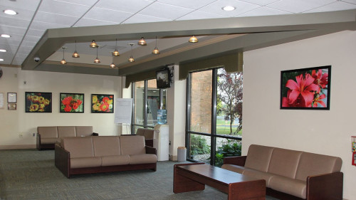 Residential Premium Image