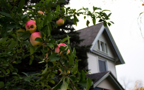 Residential Premium Image
