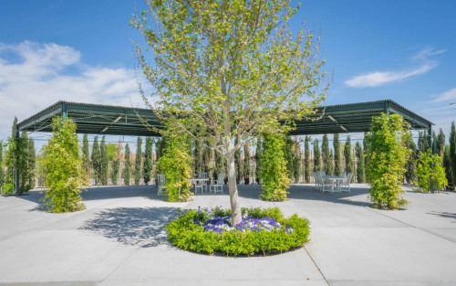 Residential Premium Image
